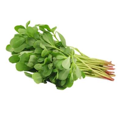 Gangavalli Kura (Purslane)1lb