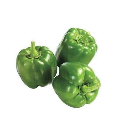 Green Bell Peppers 1LB