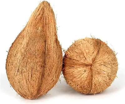 POOJA COCONUT - Dallaspuram Santha DFW