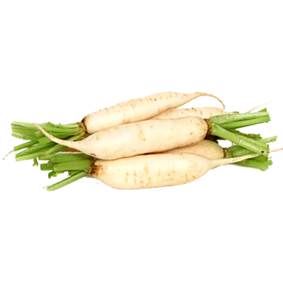 Radish White Daikon 2LB