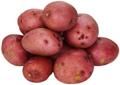 Red Potato 1LB 