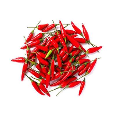 Small Red Chilli 1LB