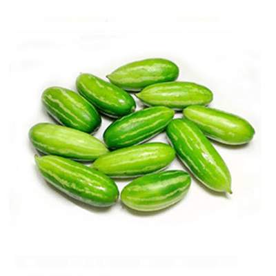 Tindora Ivy Ground 1LB