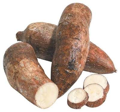 Yuca Root (Cassava) 1LB