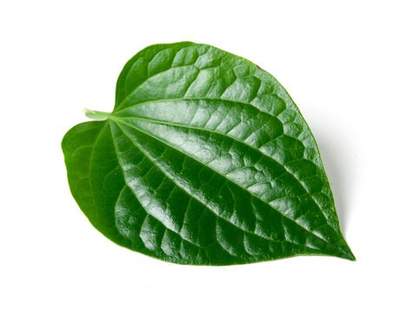 BETEL LEAVES (PAAN LEAVES)