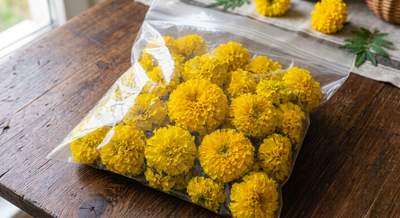 Chamanti Loose Flowers