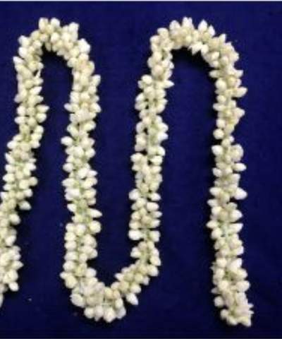 Jasmine Strings - 6ft