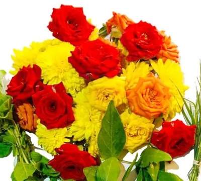 Mixed Button Rose - 100g